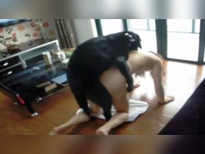 Zoophilie-Video: ein extremes Erlebnis