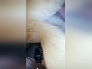 An intense and extreme zoophilia experience