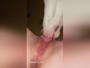 Extreme sex video with dog