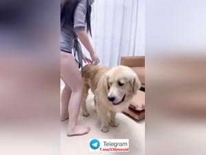 Milly explore ses désirs les plus profonds avec son fidèle compagnon à quatre pattes.