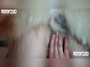 Bestial Obsession: Explizite Szenen, in denen sich die Frau gnadenlos unterwirft
