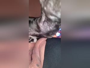 BBW svelato: il richiamo selvaggio del cane e l'erotismo senza limiti