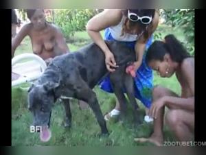 Hard sex scenes with dogs in this bestiality video