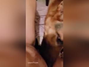 Extreme Intimacy: Wife and Dog Share an Explicit Moment