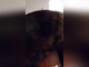 Bestiality and bestiality sex videos: discover our selection