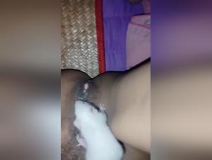 Wild pussy, submissive raccoon - hidden bestial orgy