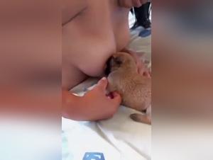 Tierausbeutung: Unmenschliches und brutales Stillen
