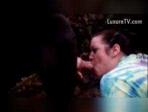 Duration & Intensity: Zoophilia Dynamics