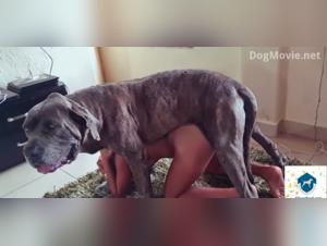 Experience Bestiality with a Dog