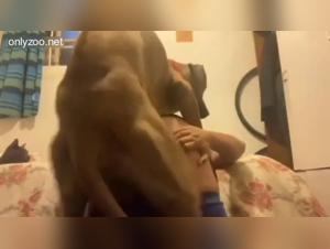 Delizia proibita, Solo con il suo cane