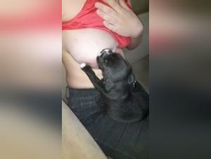 Bestiality Sex Scene with a Dog and a Woman