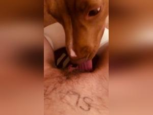 Sex Bestiality: A Woman and Her Best Friend