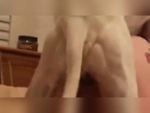 Bestiality and extreme: Discover the sweet cherry