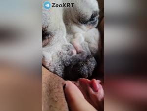 raw satisfaction: she and her dog in the act