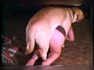 Zoophilia video: a female dog subjected to a dog in heat