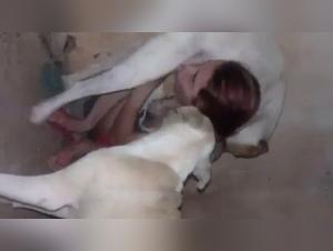 Check out this bestiality sex scene with a Brazilian woman and her dog