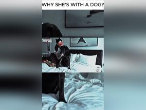 Zooskool & Adult Desires