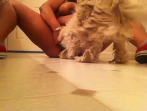 Amateur zoophilia video: discover ecstasy