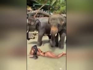 A Forbidden and Exciting Encounter