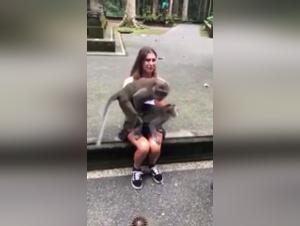 Limits pushed in shocking zoophilia video