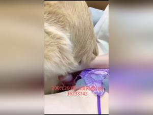 Ethics and Exploring the Sensual