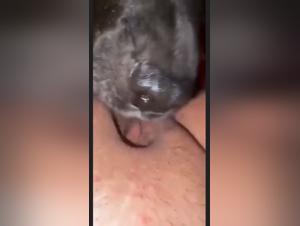 Animalsex & Pornovolk: Pushing Ethical Boundaries