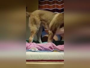 From Forbidden Connections to Art