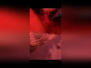 Beastiality Sites Exposed