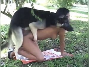 Comprendre le Sens de la Bestiality