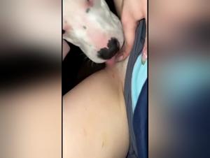 Discover the pleasures of bestiality