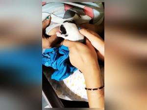 Zoophilia Video: An Extreme Experience