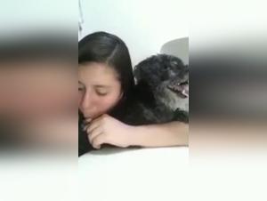 Bestiality sex video: a young girl and her canine friend