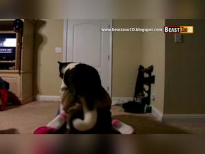 Explore Their Intimate Connection In This Hardcore Bestiality Video