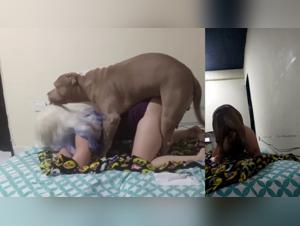 Esplora la raccolta di video Abyss: Hardcore Bestiality