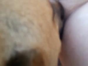 Bestial and exciting video