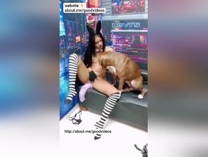 Amateur-Hardcore: Offener Schlitz, Spermaspritzen, Doggy, absoluter Meister