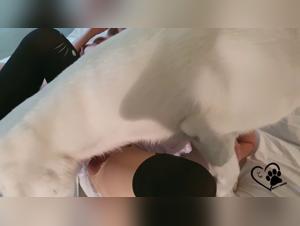 la lisiere du consentement