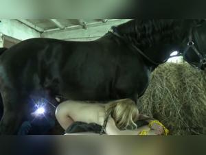 Dirty whore and its mount: uncontrollable impulses