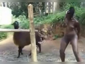 Zoophilia video with a black woman and a dog