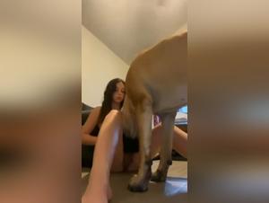 Dominazione degli animali: incredibili delizie da scoprire