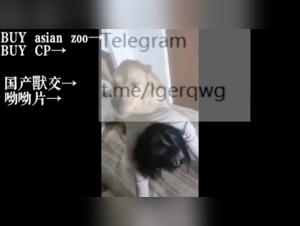 Exciting bestiality video with Asian woman