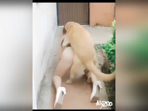 Beastiality: Where Lines Blur in Zoo Skool