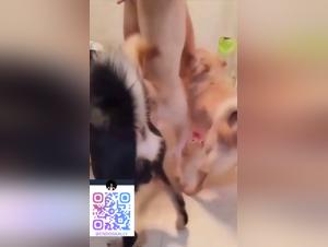 Cani rabbiosi, culi fracassati, eiaculazioni incontrollabili: il caos in bagno.