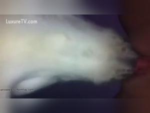 Extreme dog sex video