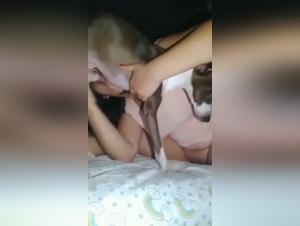 Défoncement animal: La salope trouve son plaisir dans les griffes du chien
