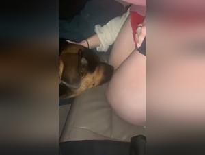 Prima sottomissione, troia e suo cane