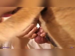 Intense and Exciting Bestiality Scenes