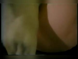 dog sex orgasm female