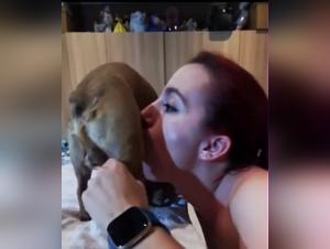 Wilde Doppelpenetration: Die Wut eines Hundes wird auf eine Frau losgelassen