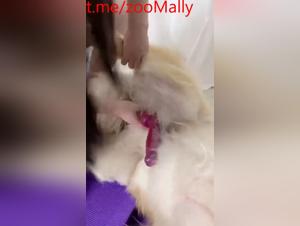 Canine fuck, Asian couple, prohibited porn